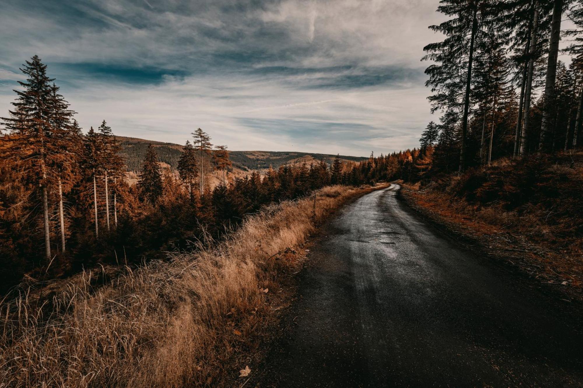 Willa Z Gwarantowanym Widokiem Na Gory Aleksander Panorama Świeradów-Zdrój Kültér fotó